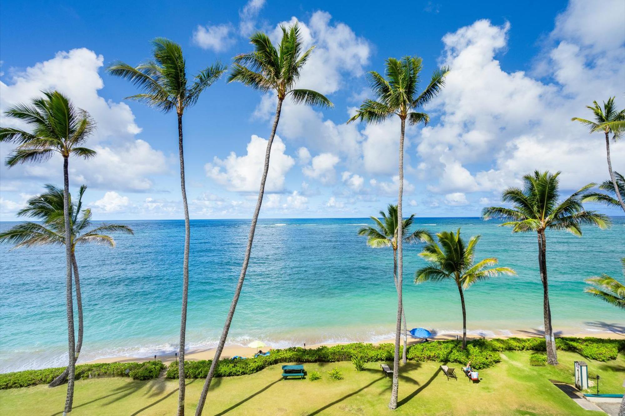 Pats At Punalu'U Apart otel Hau'ula Dış mekan fotoğraf