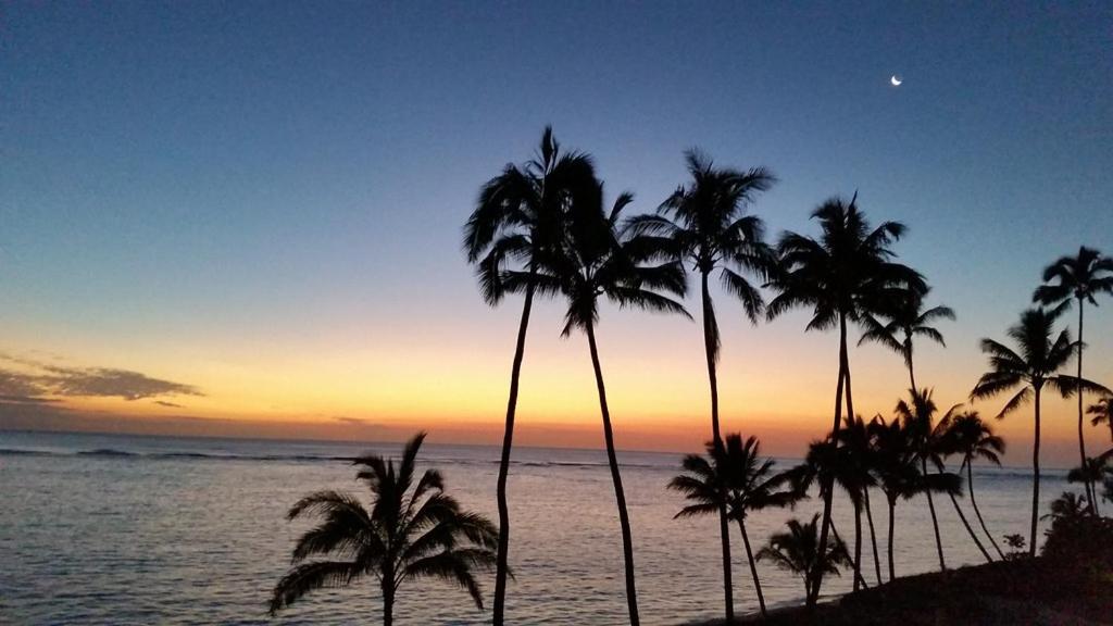 Pats At Punalu'U Apart otel Hau'ula Dış mekan fotoğraf