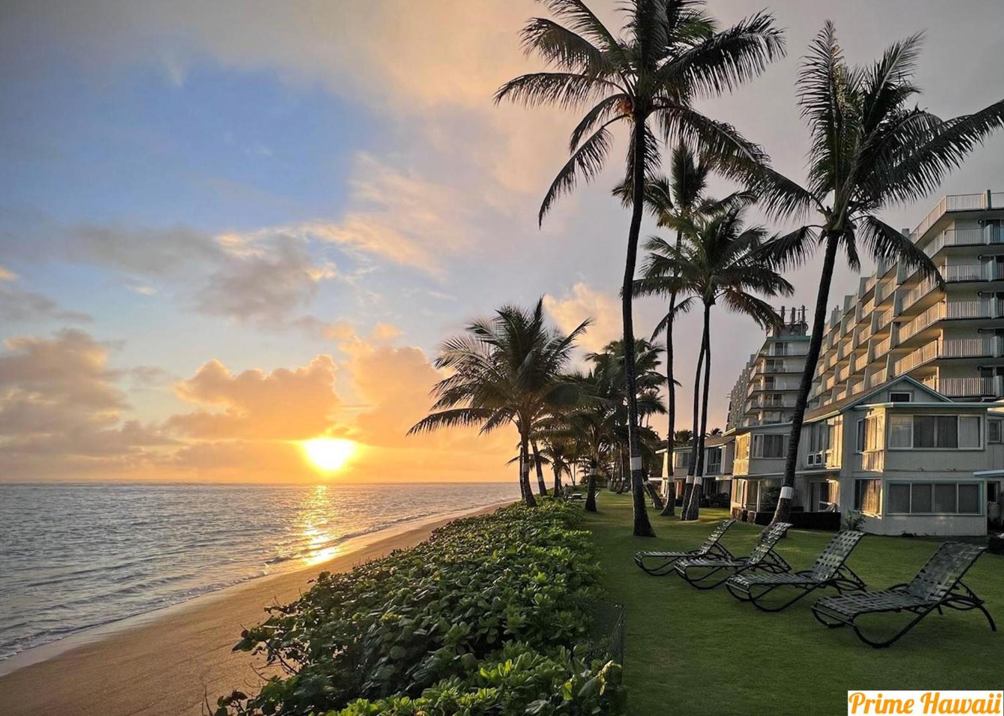 Pats At Punalu'U Apart otel Hau'ula Dış mekan fotoğraf