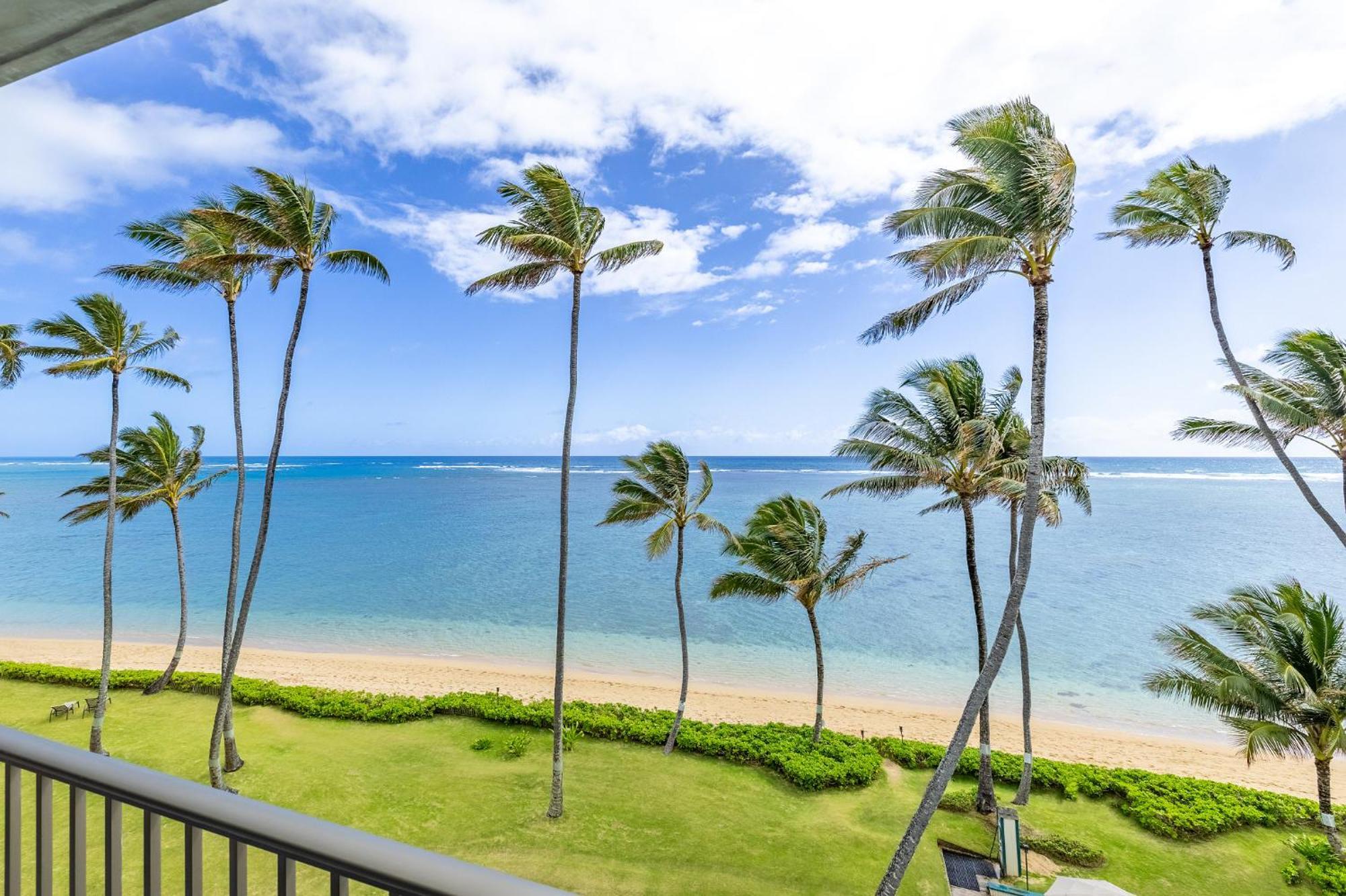 Pats At Punalu'U Apart otel Hau'ula Dış mekan fotoğraf